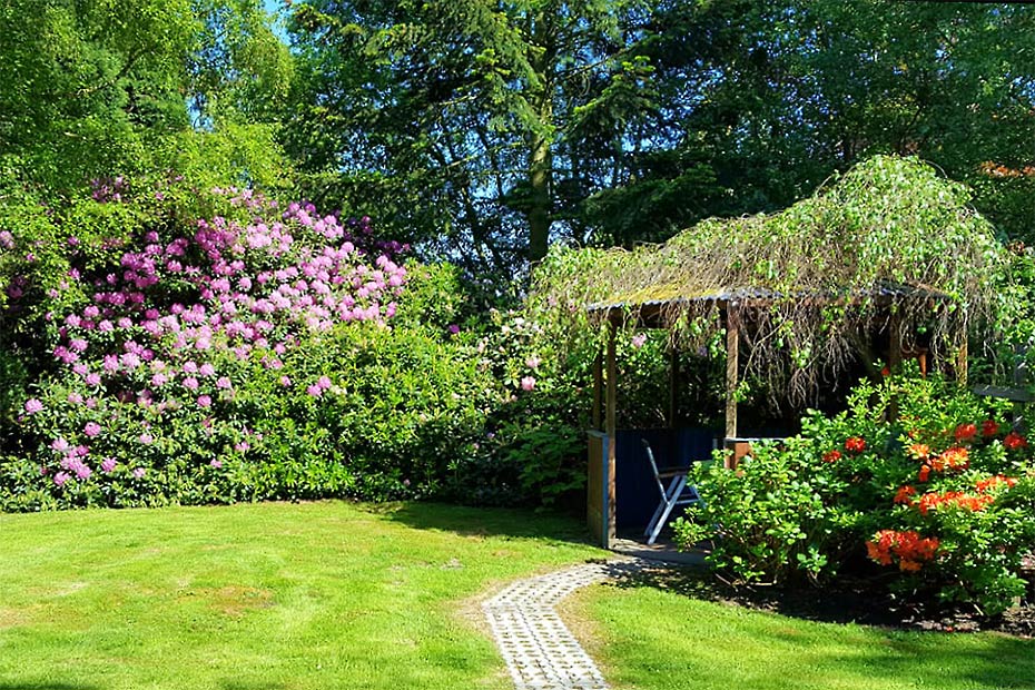 Foto aus der Fotogruppe 