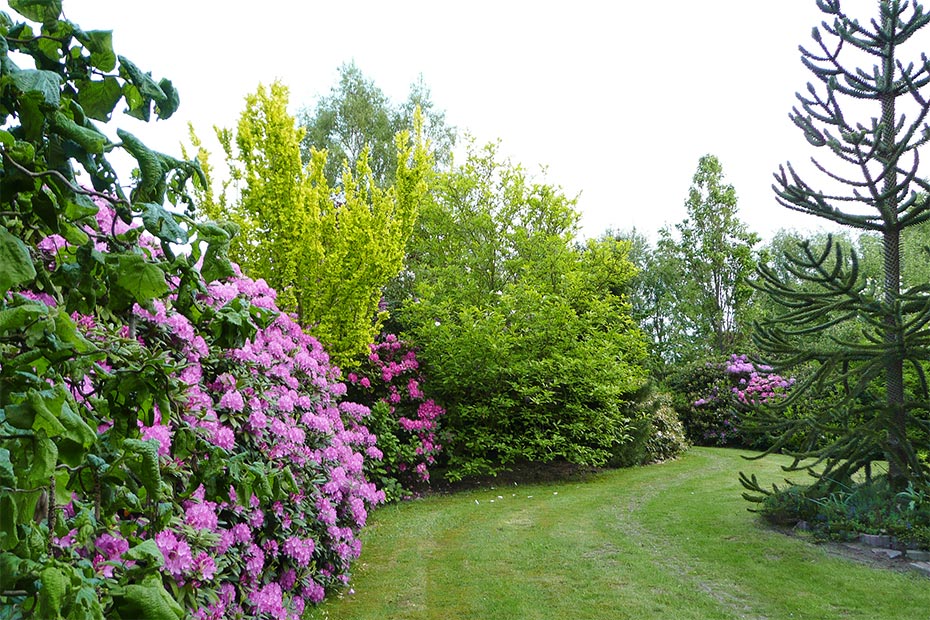 Foto aus der Fotogruppe 